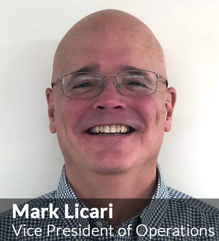 Mark Licari | Cerevasc